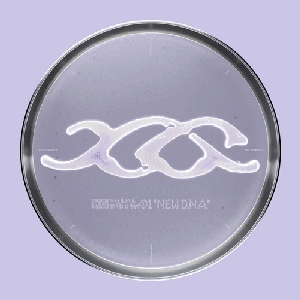 Image for 'NEW DNA'