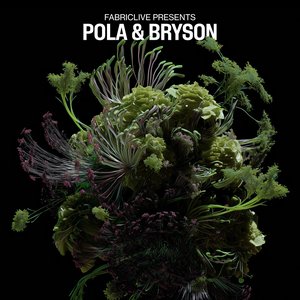 Image for 'FABRICLIVE presents Pola & Bryson (DJ Mix)'