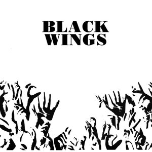 Bild für 'Black Wings'