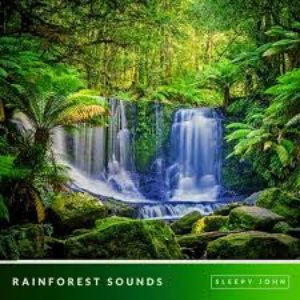 Image for 'Rainforest - Sleep & Nature Sounds'