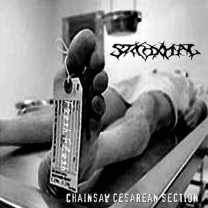 Изображение для 'Chainsaw cesarean section'