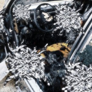 Immagine per 'xperiment - cartunez'