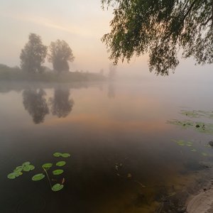 Изображение для 'Лох'