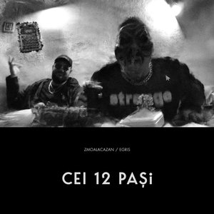 Image for 'Cei 12 pași'
