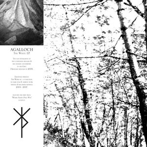 Image for 'The White (Remastered)'
