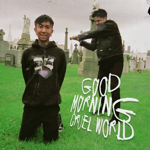 Image for 'good morning cruel world'