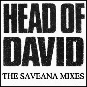 Immagine per 'The Saveana Mixes'