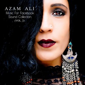 Image for 'Music For Facebook Sound Collection, Vol. 2'