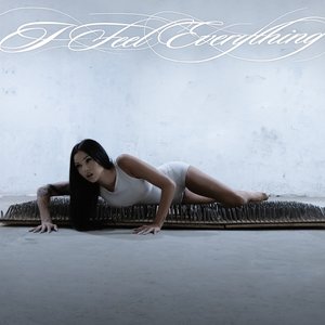 Image for 'i feel everything'
