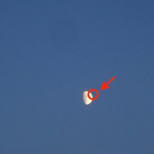 Image for 'FAKE MOON'