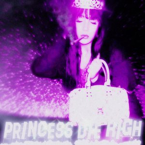 Image for 'Princess Die High'
