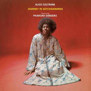 Image for 'Journey in Satchidananda'