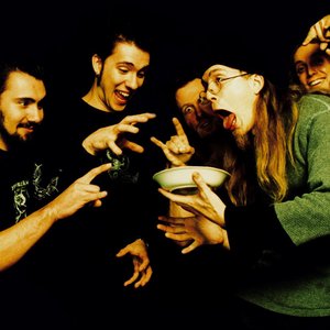Image for 'The Devin Townsend Band'