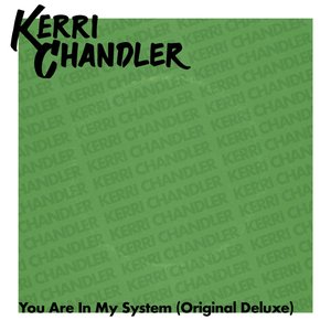 'You Are In My System (Original Deluxe)' için resim