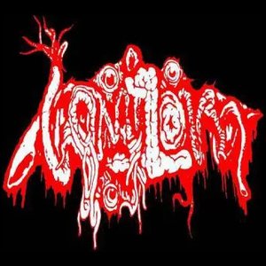 Image for 'Vomitoma'