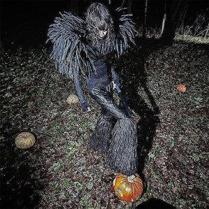 Image for 'YOU COULD BE PUMPKIN'