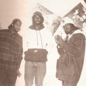 Image for 'Young D Boyz'