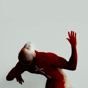 Immagine per 'Amefû - Amor e Fúria'