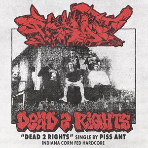 Image for 'Dead 2 Rights'