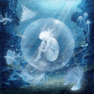 Image for 'oyster'