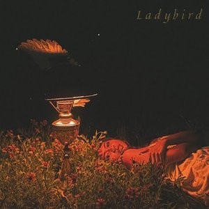 Image for 'Ladybird'