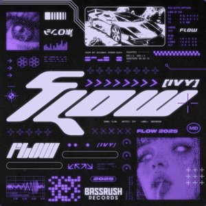 Image for 'Flow'