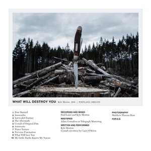 Bild für 'What Will Destroy You'