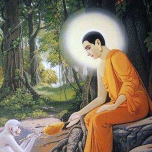 Bild für 'Buddhist Meditation Music Set'