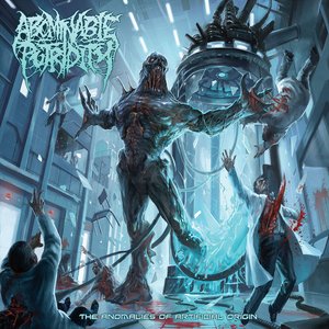 Image for 'The Anomalies of Artificial Origin'