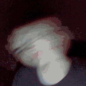 Lil_Bombur