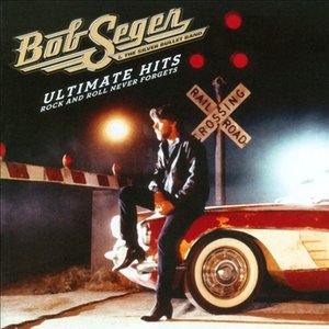 Immagine per 'Ultimate Hits Rock And Roll Never Forgets'