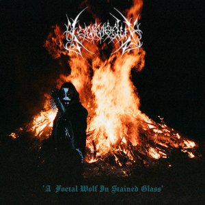 Image for 'A Foetal Wolf In Stained Glass'