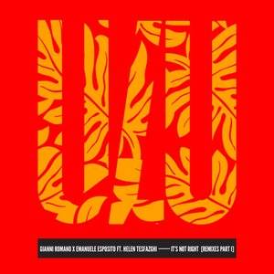 Image for 'It's Not Right'
