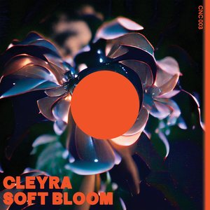 Immagine per 'Soft Bloom'
