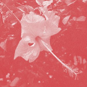 Image for 'Poulaine'