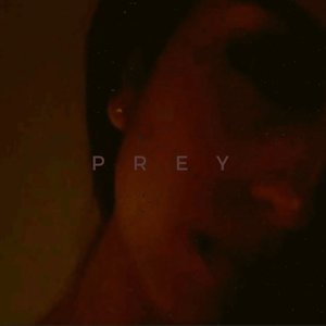 'PREY'の画像