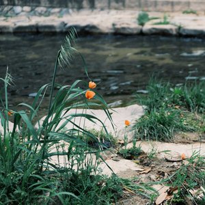 Image for 'The Places Between Us'