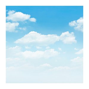 Image for 'White Noise For Parents (Loopable no fade)'