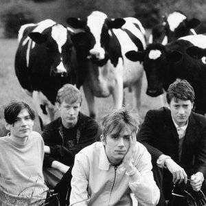 Immagine per 'Blur'