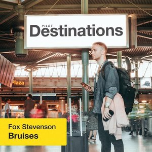 Image for 'Bruises'