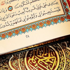 Image for 'Sa'ad Al-Gamidi'
