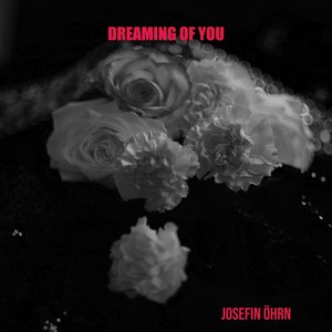 Image for 'Dreaming Of You'