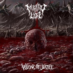 Image for 'Visions Of Justice'