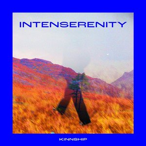 Immagine per 'Intenserenity'