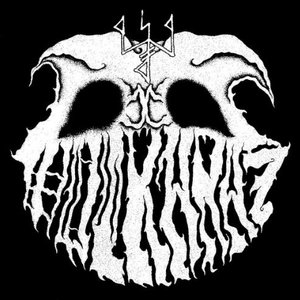 Image for 'Paralys'