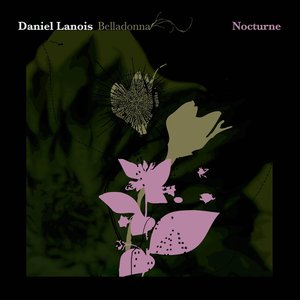 Image for 'Belladonna Nocturne'