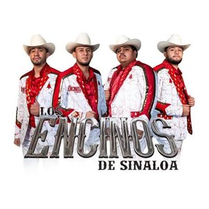 Image for 'Los Encinos De Sinaloa'