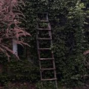 Immagine per 'somewhere, it's sunny'