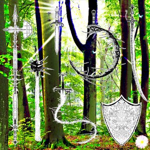 Image for 'Áster'