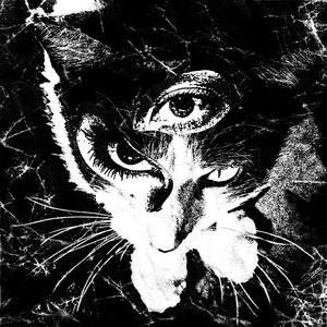 Image for 'Remains'